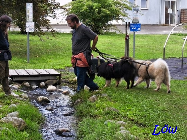 21.8.2025 - Bach&uuml;bergang 1